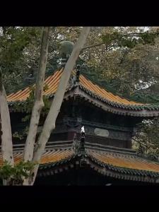 ลี้ลับเข้าสู่ประตูวัด กลิ่นน้ำหอมแบบวัด กลิ่นไม้ซีดาร์และไม้จันทน์เทศ องุ่นไม้ กลิ่นยาวนาน น้ำหอมเบา สำหรับผู้ชายและผู้หญิง Perfume