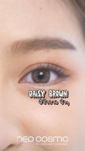 คอนแทคเลนส์ Daisy Brown (Neo Cosmo) รายเดือน เดซี่ สีน้ำตาล โตเล็กน้อย สวยธรรมชาติสไตล์ญี่ปุ่น รายเดือน