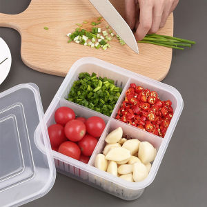 Square Grid Chopped Green Onion Crisper Kitchen Onion Ginger Garlic Storage Box Draining For Home Refrigerator Fruit Container Sealed Box