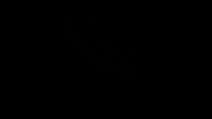 JewelryPalace Moissanite GRA D Color 0.6-1ct สีสชาญ ซีเลอร์ ลึกเส้นเลส ผ้ามือเชิ้ต สีวาด 100% สำเร็จ Diamond Selector