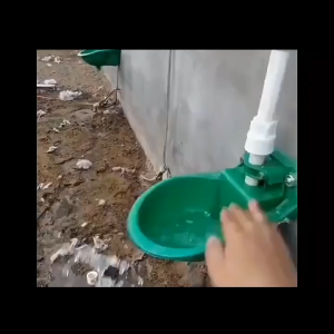 Tempat Minum Domba Kambing Babi Otomatis Plastik Valve 1 Liter Drinking Water Bowl