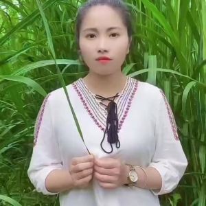 💗🙋‍♀️💗进口高丹草种籽草籽四季高产喂猪牛羊鸡兔养殖牧草种子草玉米种子