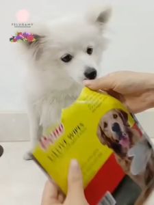 Glove Wipes Dono Sarung Tangan Tisu Basah Hewan Tissu Anjing Kucing Satuan