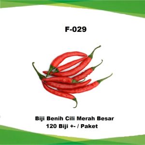 Biji Benih Sayur-Sayuran (Paket Besar) / Vegetable Seeds (Large Pack) / 蔬菜种子（大包装）