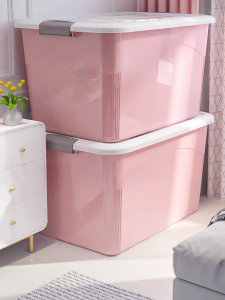 Large Capacity Oversized Organizer Storage Box
