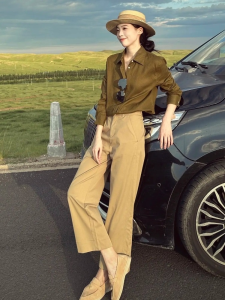 DANTING | Elegant and Stylish Brown Shirt and Pants Set