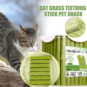 Cat Grass Teeth Grinding Stick Pet Snacks Hairball Removal Mild Hair Row Ready To Eat Baby Cat Teeth Cleaning Cat Grass Stick