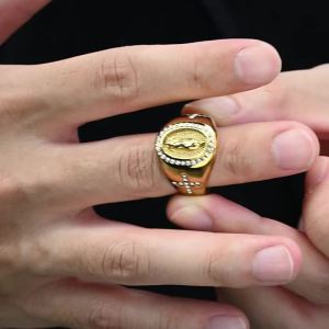 Vnox 9-12 size Gold color Cubic Zirconia Virgin Mary Ring stainless steel stylish Religious cross Rings for men