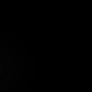 2Dfire 4 Segment Cash Drawer