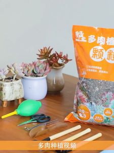 【2.5kg】Succulent Soil / Cactus Plant 60% / 80% particles 多肉植物泥土肉肉颗粒土 60%/80% 颗粒   20 IN 1
