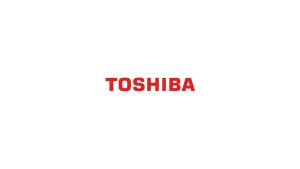 Toshiba P300 SATA III 3.5-Inch 6 Gbit/s Desktop Internal Hard Disk Drive ( 1TB / 2TB )