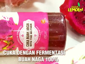 TERLARIS Diet Sehat Cuka Buah Naga 250-500 ML - Premium Raw Organics With Mother - Dragon Fruit Vinegar - Cuka Naga Organik