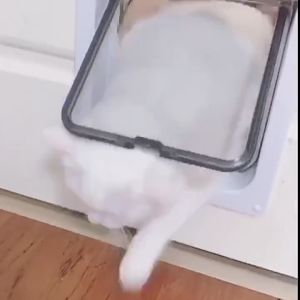 ประตูแมว ประตูสำหรับสัตว์เลี้ยง สะดวกติดตั้งง่ายตั้งค่าการเข้าออกเอง ฝาครอบโปร่งใสช่วยให้คุณและสัตว์เลี้ยงมองเห็นกันได้