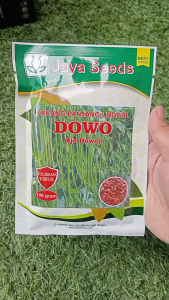 Benih Kacang Panjang DOWO 100 Gram Jaya Seeds