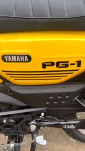 Ốp bảo vệ lốc máy cho Yamaha PG1 ốp 2 bên bảo vệ thân máy cho xe Yamaha PG1