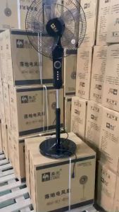 Quạt Cây Đứng Camel Cao Cấp 5 Cánh Có Hẹn giờ 16inch Siêu Mát Lưu Thông Không Khí Hàng Nội Địa Trung