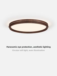NSWR | Retro Protective Ceiling Light