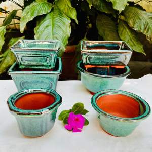 6 chậu trồng cây mini trồng sen đá xương rồng