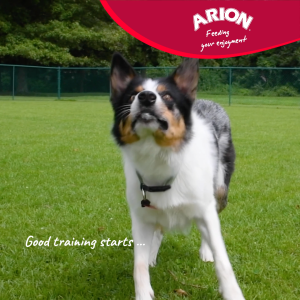 Arion Essential Adult Sport 29/15 Dog Dry Food 15KG