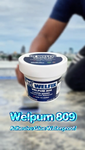 กาวกันซึม แห้งไว หมดปัญหารั่วซึม welfix 809 ขนาด 300 กรัม ฟรี แปรงทาสี 1 นิ้ว