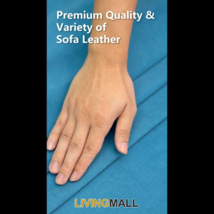 Living Mall Diomire Yancy Divan Bed Frame w/ Mattress - PetFriendly Scratch-Resistant -All Sizes