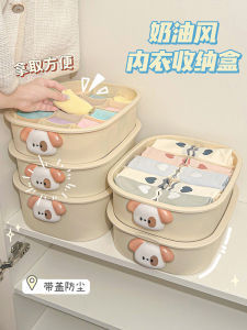 Intimates Underwear Storage Box: A Three-in-One Solution for Home Drawer Organization