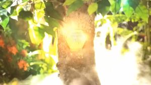 ก้อนสมุนไพรแช่น้ำดื่มสำหรับสัตว์เลี้ยง สุนัข แมว ช่วยการผลิตความงามดั้งเดิม ช่วยปรับสมดุลย์ภายในร่างกาย ลดหลังกลิ่นปากสุนัข