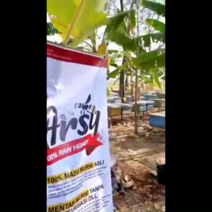 Madu Mentah Murni Arsy 500 Gram Multiflora