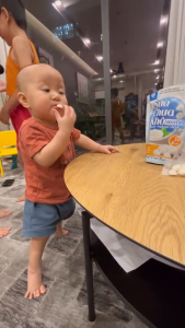 Sữa Chua Sấy Thăng Hoa MycoSpring Nguyên Vị Sữa Chua Khô Hỗ Trợ Tiêu Hóa Tăng Sức Đề Kháng - 20g 40g