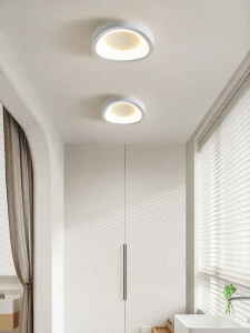 DGY | Modern Minimalist Full Spectrum Hallway Ceiling Light