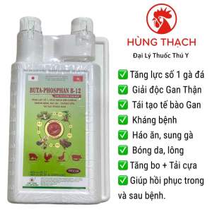 Buta Phosphan B12 chai 1 lít tăng lực tăng trọng thèm ăn tái tạo tế bào gan giải độc gan gà đá gà chọi gia cầm