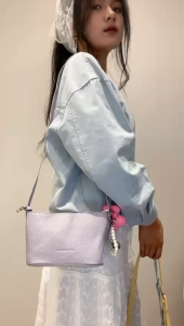 Small Crossbody Bag Fashion 3311