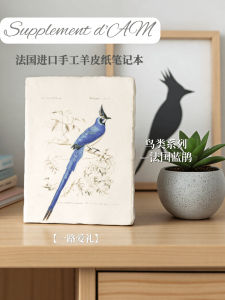 Handmade Leather Notebook Journal Creative Gift Box Bird Series Vintage High Aesthetic Value Art Supplies Business Gifts