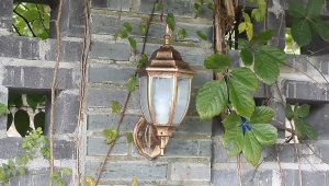 Better Light Outdoor Post Lamp & Wall Lamp Waterproof Yard Light Landscape Garden Yard Fence Lighting