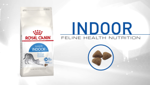[400G - 2KG] Royal Canin Indoor Hạt Khô Cho Mèo Trưởng Thành Trong Nhà Ít Vận Động