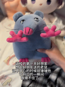 Đồ Chơi Búp Bê Chuột Pizza Rat Ghi Âm Dễ Thương Quà Tặng Bàn Tay Đỏ Đồ Chơi Vải PP Cotton Cho Trẻ Em Từ 3 Tuổi Trở Lên Đồ Chơi Động Vật Không Giới Hạn Giới Tính