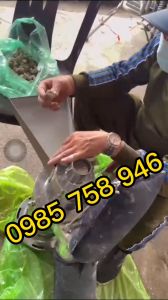 Máy xay 6 búa nghiền dược liệu tam thất đường quy siêu mịn