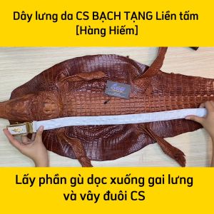 Thắt Lưng Cá Sấu BẠCH TẠNG HÀNG HIẾM Liền Nguyên Miếng N21T