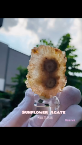 8-Petal Crystal Flower 🌸 with Eye👀 —8字水晶花🌸水晶花带眼👀水晶界高颜称号“天眼”玛瑙 Sunflower Agate