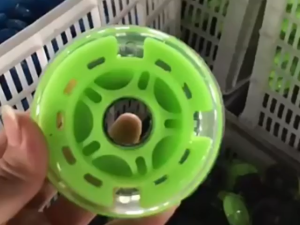 Mini Scooter Wheel 80mm PU Micro Scooter Twist Car Wheel LED Flash Mute Wheel