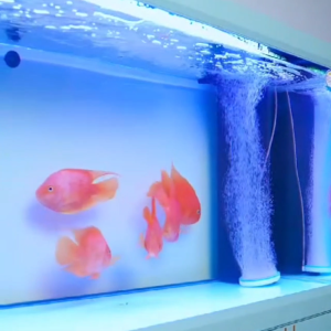 ⚡Fast delivery in Manila⚡algae remover for aquarium 550ml algaecide