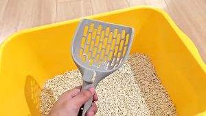 Xẻng Xúc Dọn Vệ Sinh Cho Mèo Taotaopets