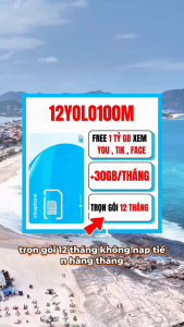 ( 1 TỶ GB ) Sim 5G Vinaphone 12YOLO100M - 30GB/Tháng + Miễn Phí Truy Cập Mạng Xã Hội - Trọn Gói 12 Tháng - Phù Hợp Lắp Trên Xe Ô Tô - FREESHIP - CHƯA KÍCH HOẠT