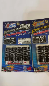 SUN RACING VALVE SPRING SET RAIDER150 CARD/RAIDER150 FI
