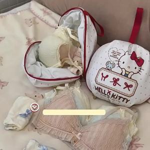 Sanrio | Hello Kitty Storage Bag Underwear Clothing Underwear Socks Storage Bag Multi functional Travel Storage Bag