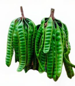 PROMO PETE TUA MURAH ISI 10 LONJOR FREE BONUS 2 LONJOR/PETE SEGAR PILIHAN/PETE TUA SUPER/PETE SEGAR PILIHAN/PETE/PETAI/PETE JAWA/PETE WONOGIRI/PETAI TUA/PETAI MURAH/PETE TUA/PETE MURAH/SAYURAN SEGAR/LALAPAN MENTAH/PELENGKAP MASAKAN