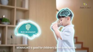 MIWAKOKO Chocolate Plant Milk (33g x 10 pkt)