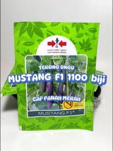 Benih Terong Ungu Mustang F1 1100 biji Cap Panah Merah unggul bibit hidroponik terung hydroponik