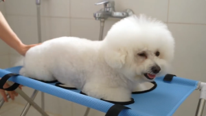 Pet Bathing Hammock for Dogs Cats 8-Hole Grooming Harness with Stand for Bathing and Grooming Nail Trimming and Ear Cleaning