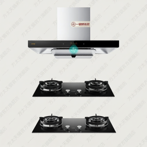 Euro-style Ceiling-mounted Range Hood and Gas Cooktop